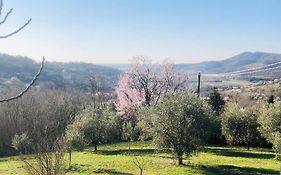 Tavern Di Arqua'